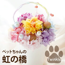 【あす楽16時まで】 ペット 供養 お供え 花 犬 お悔やみ 贈り物 『 虹の橋 Twinkle』 お供え花 ペット供養 仏花 プリザーブドフラワー ミニ ミニ仏壇 枯れない花 仏壇用 命日 仏壇 49日 法要 一周忌 お供え物 即日発送 四十九日 ブリザードフラワー プリザ お悔み 花まりか