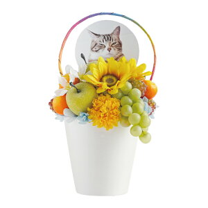 vU[uht[  ybg   w ̋ Ђ܂ ptF x ~j d    蕨 l\ @v AObY ʐ^ A e ybg{ 