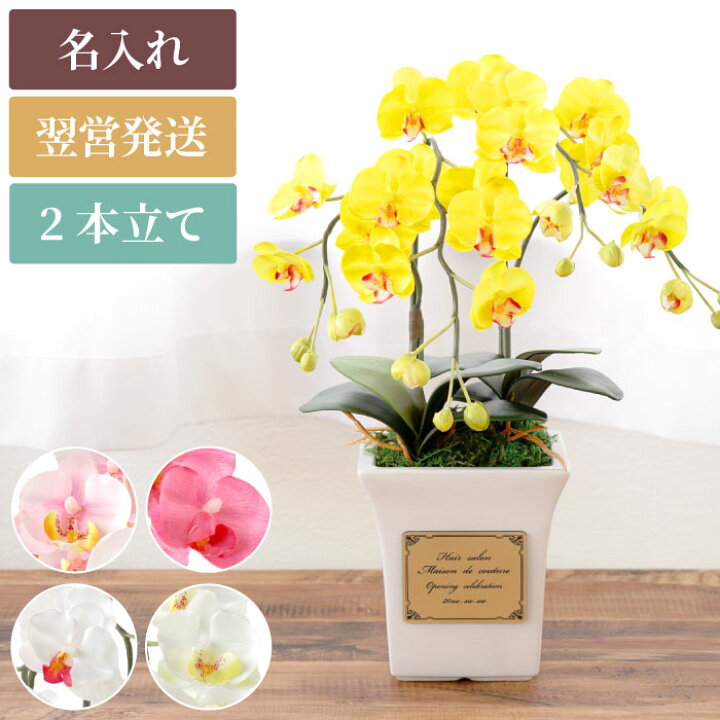 楽天市場 プレゼント 名入れ 送料無料 光触媒 胡蝶蘭 2本立 名入り ギフト 開店祝い 花 観葉植物 おしゃれ 女友達 母 祖母 名前入り お花 誕生日 女性 妻 結婚 記念日 サロン バー 新築 引っ越し 祝い 友人 枯れない花 還暦 楽天市場 プレゼント 名入れ 送料無料 光触媒 胡蝶蘭 2本立 名入り ギフト 開店祝い 花 観葉植物 おしゃれ 女友達 母 祖母 名前入り お花 誕生日 女性 妻 結婚 記念日 サロン バー 新築 引っ越し 祝い 友人 枯れない花 還暦