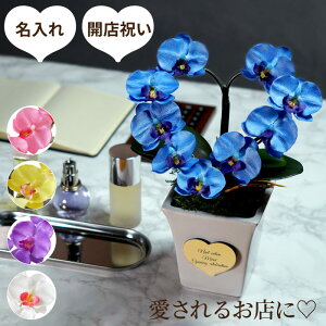 白 花 名前の人気商品 通販 価格比較 価格 Com 白 花 名前の人気商品 通販 価格比較 価格 Com