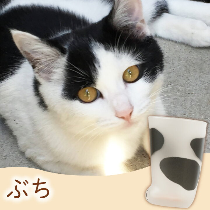 楽天市場】猫グッズ プレゼント グラス 名入れ 送料無料 【 にゃん足 