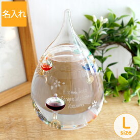 ガリレオ温度計 名入れ カフェ 開店祝い プレゼント 送料無料 【 Lサイズ 】 新築祝い インテリア雑貨 おしゃれ 名前入り 周年祝い 花以外 温度計 サロン 美容室 バー 結婚祝い 友人 引っ越し祝い 誕生日 記念日 ギフト 女性 男性 贈り物 お祝い