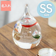 誕生日プレゼント 女友達 20代 30代 ギフト 名入れ 【 ガリレオ温度計 SS】 開店祝い プレゼント カフェ …