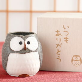 プレゼント 湯のみ 孫 美濃焼 湯呑み 名入れ 送料無料 【 単品 感謝の桐箱入り ふくろう 湯呑 】 名前入り ギフト 陶器 和食器 フクロウ かわいい 名入り 男性 女性 70代 80代 誕生日 古希 喜寿 傘寿 祝い 湯飲み 名 名前 入り 入れ Present Gift Set 最強配送 敬老の日