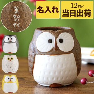 湯のみ 名入れ プレゼント 誕生日プレゼント 母親 70代 湯呑 おばあちゃん 【 福来る フクロウ 湯呑み 単品 】 誕生日 ふくろう 雑貨 かわいい 名前入り ギフト 美濃焼 名入り 父親 祖父 祖母