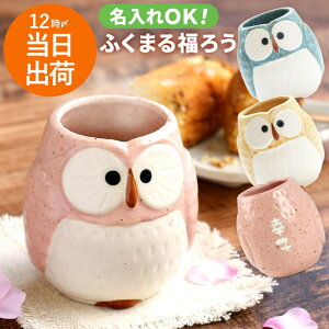 プレゼント 湯のみ 名入れ おばあちゃん 誕生日 かわいい 【 パステル ふくろう 湯呑 単品 】 名前入り ギフト 誕生日プレゼント 母親 60代 美濃焼 フクロウ 名入り お母さん 義母 祖母 50代 70