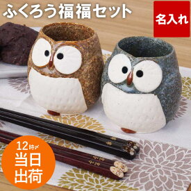 ペアギフト 結婚記念日 プレゼント 両親 湯のみ 孫 かわいい ギフトセット 名入れ 送料無料 【 ふくろう 箸 湯呑み ペア 4点 セット 】 名前入り ギフト 和食器 ふくろうグッズ 雑貨 名入り おばあちゃん おじいちゃん お箸 名 名前 入り 入れ 縁起物 贈り物 クリスマス