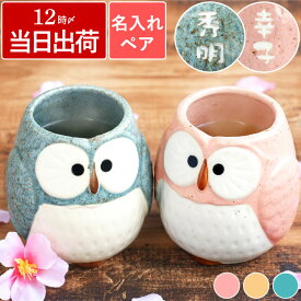 夫婦湯呑 名入れ プレゼント 湯呑み ペア 送料無料 最強配送 内祝 【 美濃焼 パステル ふくろう 湯のみ 夫婦ペア セット 】 ぺギフト 名前入り ギフト 雑貨 かわいい 夫婦 おそろい 結婚記念日 両親 結婚式 名入り 湯飲み 湯呑 名 名前 入り 入れ 孫 祖父母 クリスマス