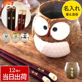 湯のみ 食器セット お箸 名入れ プレゼント 送料無料 【 美濃焼 ふくろう 湯呑 ＆ 若狭塗 箸 セット 】 名前入り ギフト おばあちゃん 誕生日 70代 湯呑み 和食器 陶器 フクロウ かわいい 名入り 父 母 祖父 祖母 男性 女性 80代 米寿 傘寿 祝い 名 名前 入り 入れ