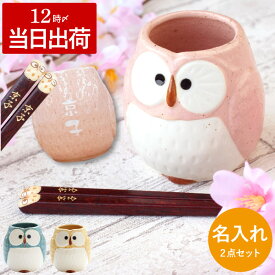 誕生日プレゼント 母親 60代 湯呑み 名入れ おばあちゃん プレゼント 最強配送 即日 【 パステル ふくろう 湯呑 ＆ 箸 セット 】 名前入り ギフト ふくろうグッズ かわいい 50代 70代 誕生日 母 父 祖母 祖父 還暦 古希 喜寿 退職 祝い 名前 入り 入れ