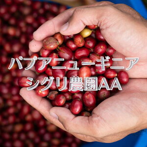 pvAj[MjA 200g VO_ AA