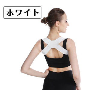 y2_Zbgzpxg Lwxg w؃T|[^[ Y fB[X ˂w ObY pxg pT|[^[ ObY fXN[N ˂ Lw p␳ 