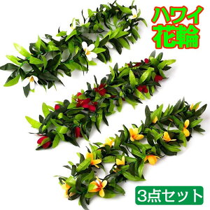 y3_Zbgz nCԗ nCA    gsJ nCAC [tlbNX tߑƃr[`p[eB[̂߂ Ǝ a r[` eBL p[eB[̋LOi