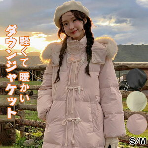 H~ R[f fB[X t@bV IV  JCC Vv lJCC 傫TCY _E WPbg zCg_bN_E At@[  z[{^ R[g