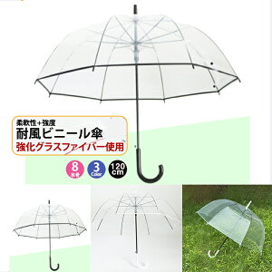 JP [rj[P] 8KvXeBbNpCsO It P e120cm 傫 fB[X  ou[ 8{ v  f Vv  ʋ ʊw 