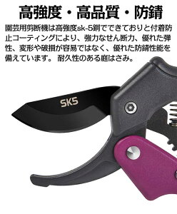 y 2Zbgz΂  nT~ ͂ A؂΂ | ʎ ؂ꖡQ SK-5|  }  }؂ oT~ SbNt ~ ~  ؍H K[f DIY 