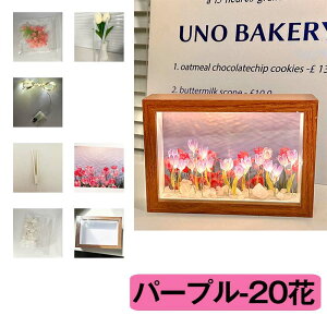 `[bvv DIY ̃`[bviCgCg z[fR[V - t[v LEDC~l[V dr 20  q̎q Mtg͋CfXNiQ̑ L