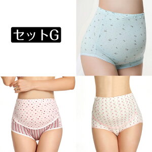 y3Zbgz}^jeB V[c    u nCEGXg oY ܂Ƃߔ fB[X pc  [ [ tBbg YO Y DP Dw 傫TCY Xgb` 