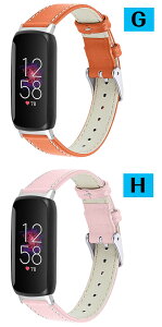 Fitbit Inspire3 �Ή� ���� �o���h �x���g�{�v �f�� ������� Inspire3�r���v�x���g �X�|�[�c �x���g �����p �x���g �ւ��x���g �Y��� �}���`�J���[ �ȒP���� �l�C �������� �x���g �g�тɕ֗� �r��