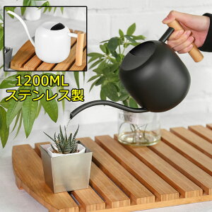 WE 傤 1200ML | XeX ؐnh  @JI Up ϗtA WE |pi