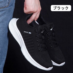 V[Y Y Xj[J[ X |[cV[Y jOV[Y ^C EH[LOV[Y g[jO WMO y bV ʋC h 傫 lC JWA