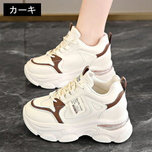 Xj[J[fB[X _bh V[Y EH[LOV[Y ^C h [XAbv Xj[J[ JWA 5.5cm gAbv  r ʋ ʊw Ȃ