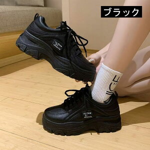 Xj[J[fB[X _bh V[Y EH[LOV[Y ^C h [XAbv Xj[J[ JWA gAbv r r ʋ ʊw Ȃ  ʊw ʋ 