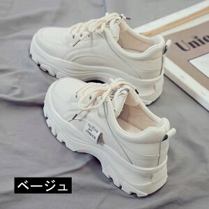 Xj[J[fB[X _bh V[Y EH[LOV[Y ^C h [XAbv Xj[J[ JWA gAbv r r ʋ ʊw Ȃ  ʊw ʋ 