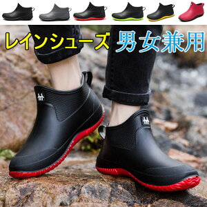 CV[Y Y y CV[YV[g jp ZC IV Cu[c JC Lb`V[Y h ނ Ԍ ~J΍ 䕗 ʋ ʊw Jp