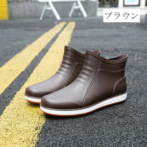 CV[Y Y Cu[c JC hV[g JWA Jp ~ | ނʋ ʊw IV K[fjO ~[C ~J΍