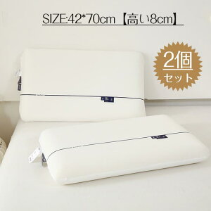  ᔽ ܂ 2Zbg    L ᔽ  ₳x lԍHw `L    j v[g 42*70cm*8cm