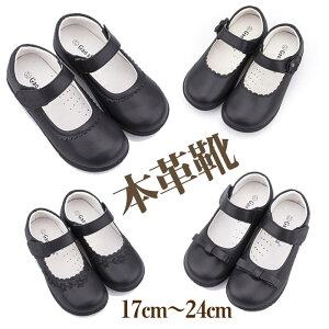 vC ̎q tH[} C V[Y {v LbYtH[}V[Y q  tH[}V[Y WjA tH[}C qC LbY qV[Y ʊw ʉ sAm \  w