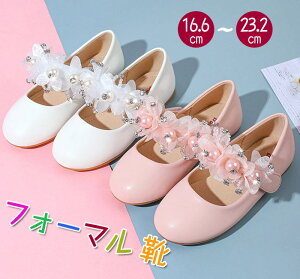 tH[}V[Y q ̎q hXV[Y vZX tbg pvX K[YV[Y qC V[Y hXV[Y w w WjA C  ʊw c t 