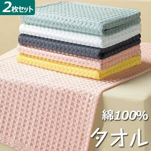 ^I tFCX^I F2Zbg 100 _炩G btD ʉ  z ʋC щHoɂ } Lk ][gze^Cv lC ƒp Ɩp lGʗp 73*33cm