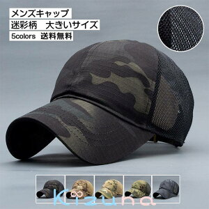 ėp bV St Xq X|[c 傫TCY Jt nbg  Β ʕ    ꂢ AEghA