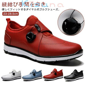 fB[X StV[Y _CA StV[Y h Y XpCNX Xj[J[ h  St C KC y X|[cV[Y \tgȗSn _炩 ~ 