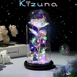 ԙ 24KS[h[Y o ͂Ȃ bL[Y  LEDCgt dr ԑ v[go o^Cf[f[ ̓ j aj  NX}X VN jɓKp q