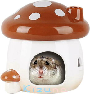 nX^[  B 2F   LmR^ nEX Z~bN STCY