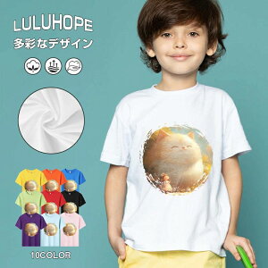 tNX}X LbY j̎q ̎q ǂ jZbNX @L@q NX}X ʁ@ ˂D@^ ct ւ  ĕ 110|150@vg Y fB[X Rb