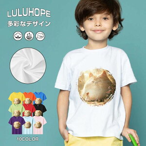 tNX}X LbY j̎q ̎q ǂ jZbNX @L@q NX}X ʁ@ ˂D@^ ct ւ  ĕ 110|150@vg Y fB[X Rb