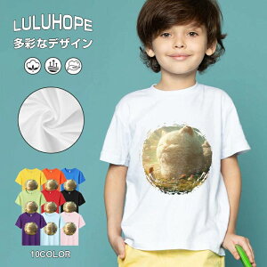 tVc LbY j̎q ̎q ǂ jZbNX @L@q Vc ʁ@ ˂D@^ ct ւ  ĕ 110|150@vg Y fB[X Rbg Jb