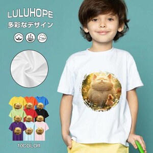 tVc LbY j̎q ̎q ǂ jZbNX @L@q Vc ʁ@ ˂D@^ ct ւ  ĕ 110|150@vg Y fB[X Rbg Jb