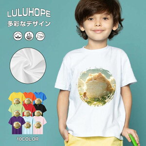 tVc LbY j̎q ̎q ǂ jZbNX @L@q Vc ʁ@ ˂D@^ ct ւ  ĕ 110|150@vg Y fB[X Rbg Jb