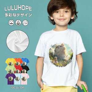 tNX}X LbY j̎q ̎q ǂ jZbNX @L@q NX}X ʁ@ ˂D@^ ct ւ  ĕ 110|150@vg Y fB[X Rb