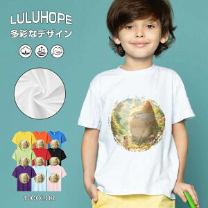 tNX}X LbY j̎q ̎q ǂ jZbNX @L@q NX}X ʁ@ ˂D@^ ct ւ  ĕ 110|150@vg Y fB[X Rb