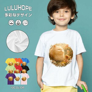 tNX}X LbY j̎q ̎q ǂ jZbNX @L@q NX}X ʁ@ ˂D@^ ct ւ  ĕ 110|150@vg Y fB[X Rb