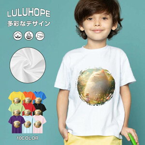 tNX}X LbY j̎q ̎q ǂ jZbNX @L@q NX}X ʁ@ ˂D@^ ct ւ  ĕ 110|150@vg Y fB[X Rb