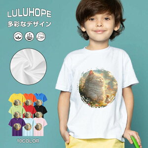 tNX}X LbY j̎q ̎q ǂ jZbNX @L@q NX}X ʁ@ ˂D@^ ct ւ  ĕ 110|150@vg Y fB[X Rb