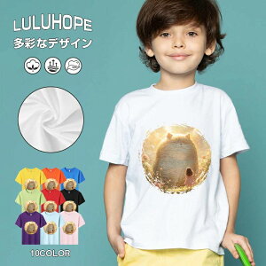 tNX}X LbY j̎q ̎q ǂ jZbNX @L@q NX}X ʁ@ ˂D@^ ct ւ  ĕ 110|150@vg Y fB[X Rb