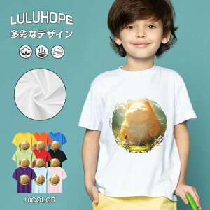 tNX}X LbY j̎q ̎q ǂ jZbNX @L@q NX}X ʁ@ ˂D@^ ct ւ  ĕ 110|150@vg Y fB[X Rb